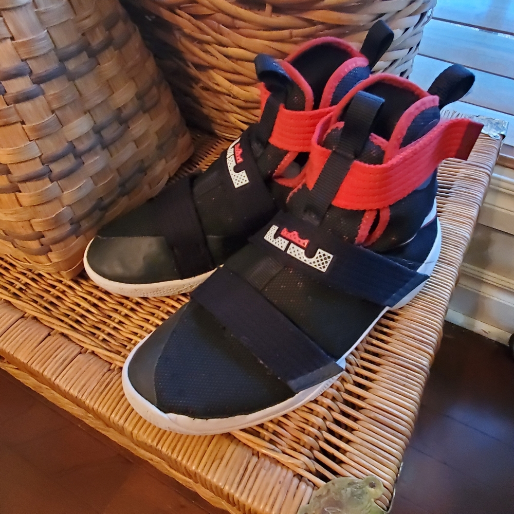 Lebron Soldier Ten Basketball shoes size 5.5